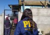 PDI rescata a nueve perros desde vivienda en Quilpué