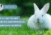 Entra en vigor ley que prohíbe los experimentos en animales para cosméticos en el país