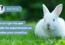 Entra en vigor ley que prohíbe los experimentos en animales para cosméticos en el país
