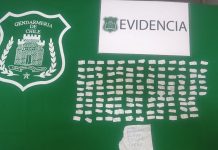 GENDARMES RETIENEN A MUJER QUE ENTREGÓ DIVERSAS DROGAS A INTERNO DE LA CÁRCEL DE SAN ANTONIO