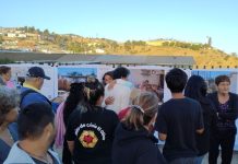 Memorias de un incendio: Historias de supervivencia y resiliencia