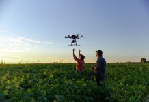 Inteligencia artificial en el agro: las 5 tendencias clave que revolucionarán la agricultura en 2025