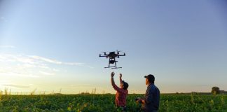 Inteligencia artificial en el agro: las 5 tendencias clave que revolucionarán la agricultura en 2025
