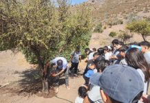 Estudiantes de CFA Perfecto de la Fuente de Rinconada exploran la naturaleza en parque municipal.