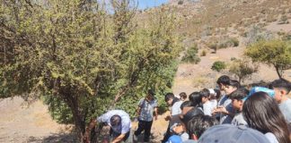 Estudiantes de CFA Perfecto de la Fuente de Rinconada exploran la naturaleza en parque municipal.