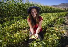 INDAP LANZA PROGRAMA PARA JÓVENES RURALES Y ABRE NUEVAS OPORTUNIDADES DE EMPRENDIMIENTO EN LA REGIÓN DE VALPARAÍSO