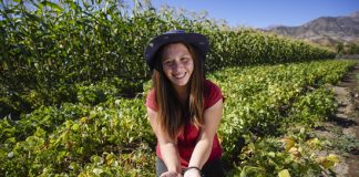 INDAP LANZA PROGRAMA PARA JÓVENES RURALES Y ABRE NUEVAS OPORTUNIDADES DE EMPRENDIMIENTO EN LA REGIÓN DE VALPARAÍSO