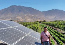 Agricultores se capacitan para optimizar el rendimiento de sus paneles fotovoltaicos