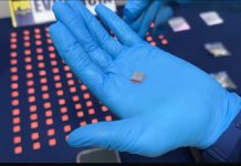 PDI LA LIGUA DETIENE A DJ QUE COMERCIALIZABA DROGAS DE SÍNTESIS EN EVENTOS DE LA ZONA