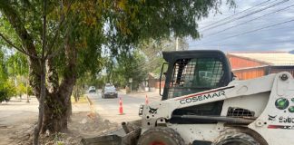 Municipio de Los Andes trabaja en la erradicación de micro basurales