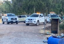 Delincuente que ingresó a robar en el sector las bandurrias en Rinconada fue detenido tras oportuna denuncia de vecinos