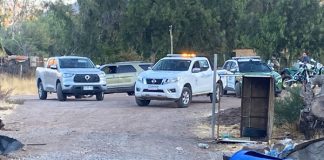 Delincuente que ingresó a robar en el sector las bandurrias en Rinconada fue detenido tras oportuna denuncia de vecinos