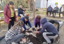 Usuarios de PRODESAL Rinconada participaron en gira técnica a predio orgánico en Panquehue
