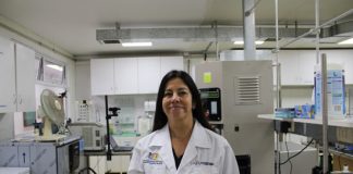 Investigadora USM desarrolla alimento para la tercera edad que reduciría riesgos de enfermedades oculares y articulares