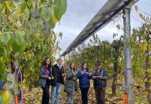 Instalan sistema agrivoltaico en huerto de cerezos del Maule para enfrentar la crisis hídrica y climática