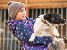 Este domingo: Mall Marina realizará nueva jornada de adopción responsable de mascotas