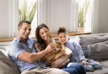 Día del Gato: nuevas tendencias en el cuidado de mascotas empujan la venta de seguros para perros y gatos