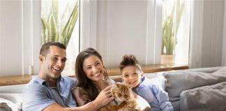 Día del Gato: nuevas tendencias en el cuidado de mascotas empujan la venta de seguros para perros y gatos