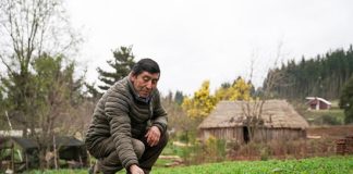 INDAP lanzó política para enfrentar desastres naturales y adaptarse a los efectos del cambio climático