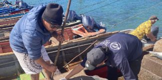 Monitoreo confirma sobreexplotación de especies clave en Rapa Nui