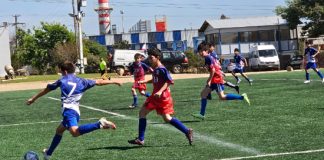 12 colegios de Valparaíso participarán en la Copa PFalimentos