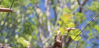 Agricultores se capacitan en eficiencia de equipos de riego