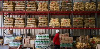 Inseguridad alimentaria en Chile afecta a uno de cada cinco hogares