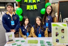 Estudiantes de Pumahue Curauma crean “Apio Pop”, snack saludable y sostenible