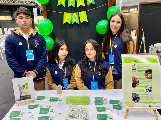 curauma_proyecto_educativo