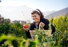 Seremi destaca avances en el desarrollo de la Agricultura Familiar Campesina e Indígena en la región de Valparaíso