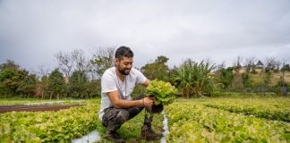 INDAP fortalece su presencia en Rapa Nui con nuevas obras de riego, asesorías técnicas y mejor infraestructura