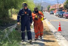 Avanza el plan de desmalezado en Los Andes: más de 50 mil metros cuadrados intervenidos