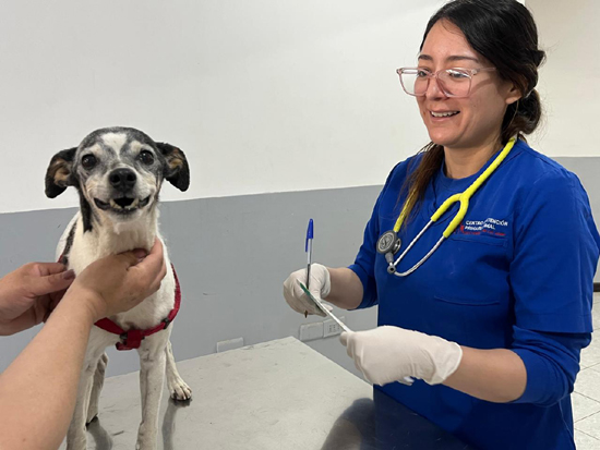 operativo_veterianrio_la