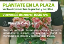 Plaza de Calle Larga se transforma en el epicentro del verano con juegos, ferias y actividades refrescantes.