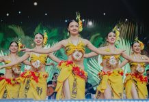 BAFOCHI encabezará el Festival Danza en Tu Verano 2026 en Los Andes