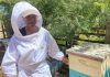 AGRICULTORA DE CASABLANCA TRANSFORMÓ SU PASIÓN POR LAS ABEJAS EN UNA EXPERIENCIA DE TURISMO RURAL SUSTENTABLE