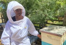 AGRICULTORA DE CASABLANCA TRANSFORMÓ SU PASIÓN POR LAS ABEJAS EN UNA EXPERIENCIA DE TURISMO RURAL SUSTENTABLE
