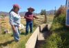 EN NOGALES MEJORAN CANAL LA PALMA QUE FORTALECE SEGURIDAD DE RIEGO PARA AGRICULTORES DEL SECTOR