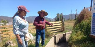 EN NOGALES MEJORAN CANAL LA PALMA QUE FORTALECE SEGURIDAD DE RIEGO PARA AGRICULTORES DEL SECTOR