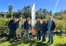 En capacitación GTT- INIA analizan aspectos de postcosecha en arándanos