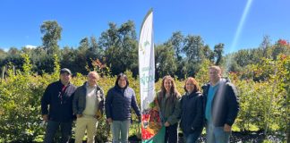 En capacitación GTT- INIA analizan aspectos de postcosecha en arándanos