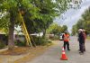 Seremi de Energía verifica faenas de poda preventiva en Concón y La Ligua junto a empresas distribuidoras