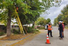 Seremi de Energía verifica faenas de poda preventiva en Concón y La Ligua junto a empresas distribuidoras