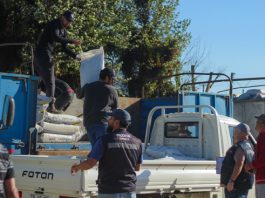 79 AGRICULTORES DE LIMACHE RECIBEN ALIMENTO PARA GANADO Y AVES
