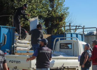 79 AGRICULTORES DE LIMACHE RECIBEN ALIMENTO PARA GANADO Y AVES