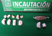 GENDARMES DE LOS ANDES INCAUTAN DROGAS DURANTE VISITA A LA POBLACIÓN PENAL