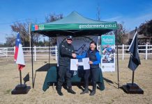USUARIOS DE GENDARMERÍA SE CONVERTIRÁN EN ASISTENTES DE EQUINOTERAPIA