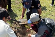 Municipio andino reforestará Parque Urbano por el Día Mundial del Medio Ambiente