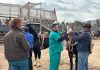 Municipalidad de Calle Larga impulsa programa piloto de Mejoramiento Genético en Caballos Chilenos