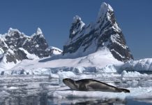 Científicos crean la primera base de datos multimétodo para estudiar los bloqueos atmosféricos en la Antártica
